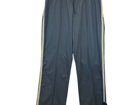 Athletic Pants By Clothes Mentor  Size: 0 For Discount