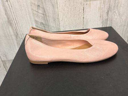 Shoes Flats Ballet By Hush Puppies  Size: 10 Online now