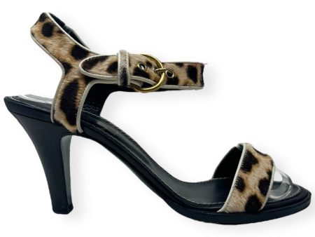 Leopard Print Calf Hair Ankle Strap Sandals Luxury Designer By Yves Saint Laurent  Size: 7.5 on Sale